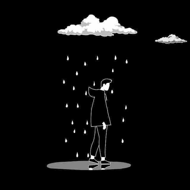 蘑菇视频iOS：多元升级与功能盘点